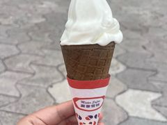 -富豪雪糕车流动点(尖沙咀)