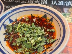 -滇牛云南火锅(桂林路店)