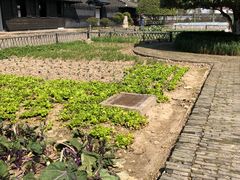 -张闻天故居