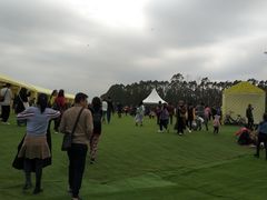 -光明小镇欢乐田园