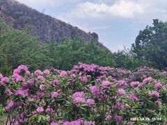 -名花谷生态庄园