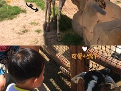 -太原动物园