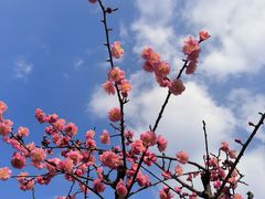 -天鹅湖体育公园