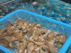 -蚝得喜海鲜(东城店)