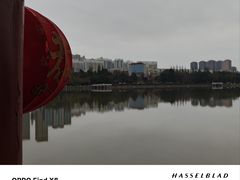 -洛龙公园