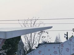 -苏州上方山国家森林公园