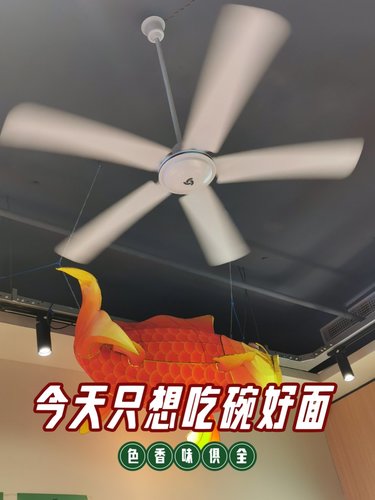 今天只想吃碗好面