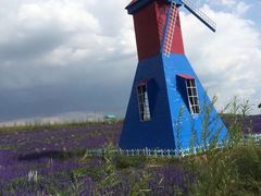 -鴜鹭湖生态旅游度假区