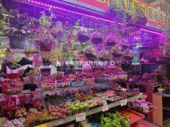 -花鸟鱼虫鲜花绿植市场(玉泉路店)