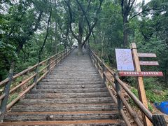 -栾川竹海野生动物园