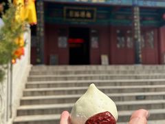 -大槐树寻根祭祖园