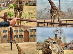 -济南野生动物世界