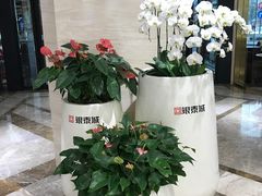 -杭州西湖银泰百货