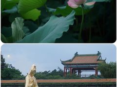 -宝墨园景区