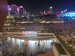 -东方体育中心(地铁站)