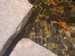 -邈墨茶馆(凤起路店)