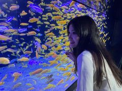 -成都浩海立方海洋公园