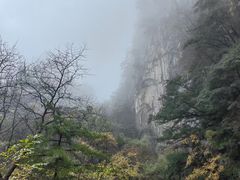 -沣峪口