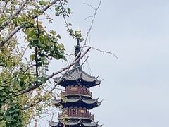 -龙华素斋(龙华路店)