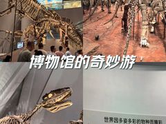-重庆自然博物馆(新馆)