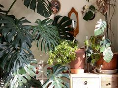 -AHAVA·Fang Baking Studio
