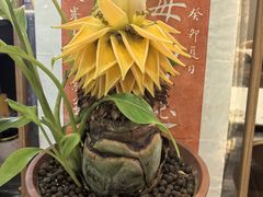 -隐厨·海鲜餐厅(恒通路店)