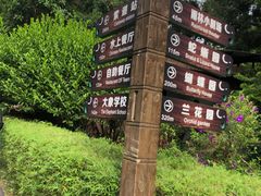 -野象谷景区