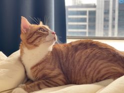 -LEILEI NAIL蕾蕾美甲美睫