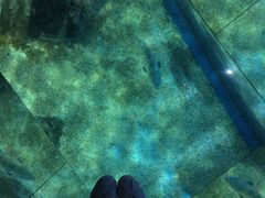 -暹罗海洋世界