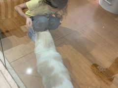 -猫冇咖·家门口的撸猫馆(大融城店)