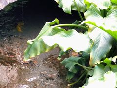 -海窝子古镇
