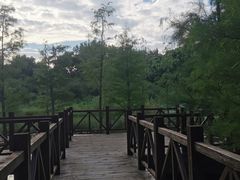 -同里国家湿地公园