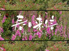 -文华公园(禅城区)