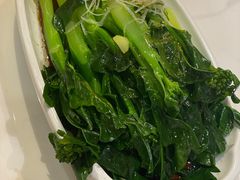 -大鸽饭(马王堆店)