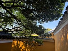 -普陀山慧济禅寺