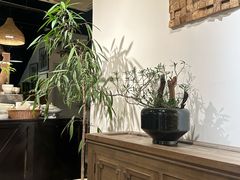-自由生长植物工作室(深港花卉中心店)