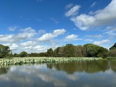 -梁鸿国家湿地公园