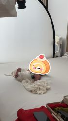 -玛瑞莎孕婴童摄影到家拍