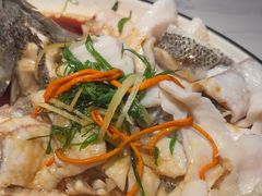 -大榕树下顺德菜(融创茂店)