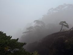 -黄山玉屏楼宾馆餐厅