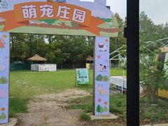 -上海长兴岛郊野公园