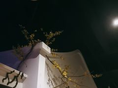 -春天来了(印象新天地店)