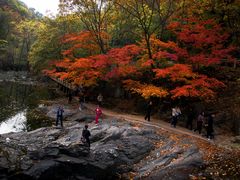 -关门山森林公园