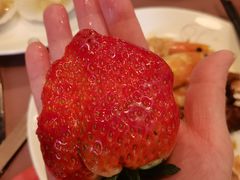 -The COOK·厨餐厅·自助餐(浦东嘉里大酒店)