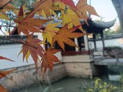-秋霞圃