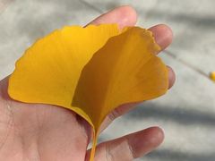 -范特西FANTASY量贩式KTV(民主广场店)