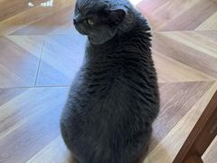 -Rabbit Cafe私房西餐甜点咖啡(栖霞路店)