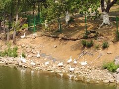 -北京张裕爱斐堡酒庄