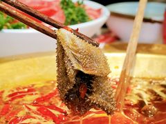-矮冬瓜红茶火锅