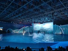 -海合安青岛极地海洋公园
